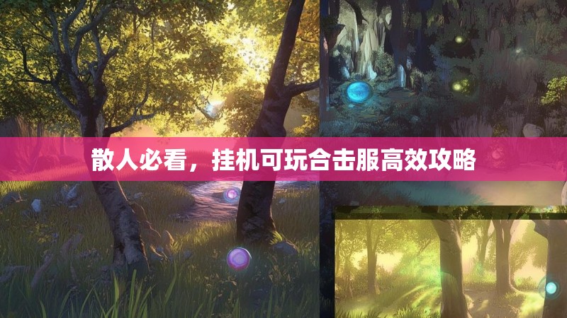 散人必看，挂机可玩合击服高效攻略