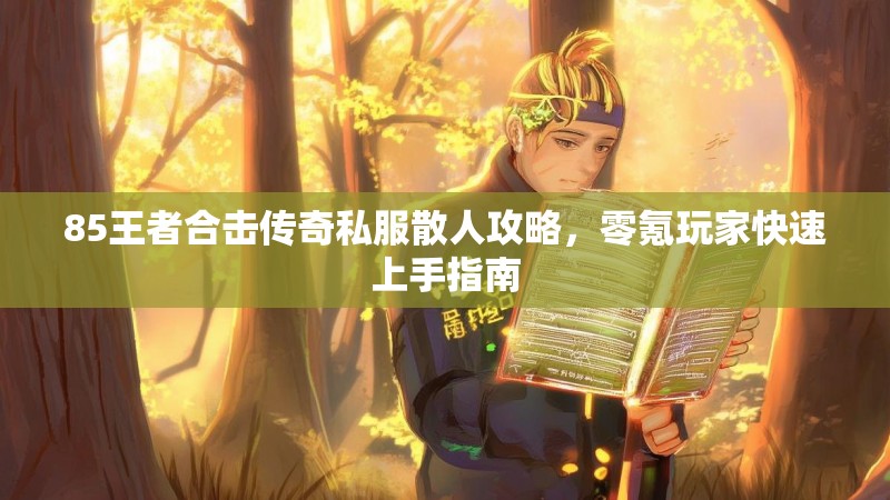 85王者合击传奇私服散人攻略，零氪玩家快速上手指南